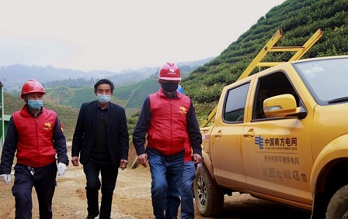 平塘供電局：“加減法”同構(gòu)服務(wù)，護(hù)航“貴州春茶第一壺”