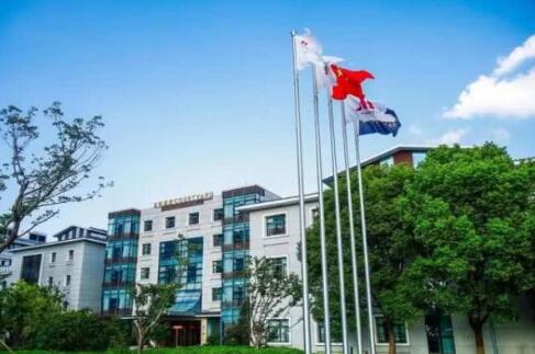 中央巡視組出馬:國(guó)家電網(wǎng)終將揮別千億級(jí)魯能