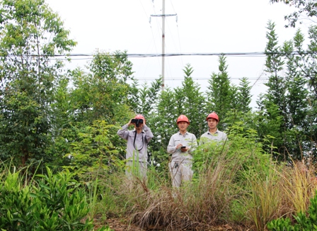 國網(wǎng)江永縣供電公司:負責人帶隊巡線，精施策護網(wǎng)保電