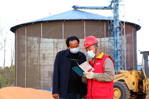 國(guó)網(wǎng)伊犁供電公司保障萬畝玉米粒粒歸倉