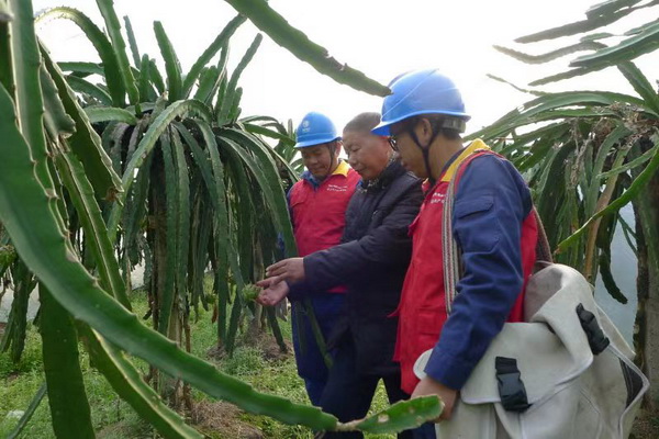 國網(wǎng)寧?？h供電公司：“電力紅馬甲”護(hù)航，退役軍人鄉(xiāng)村創(chuàng)業(yè)“紅如火”
