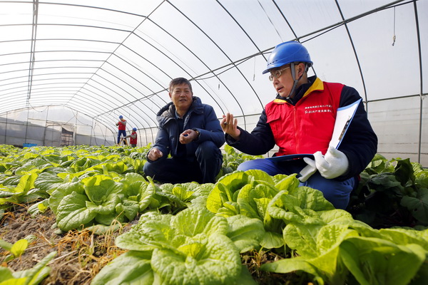 浙江寧波供電公司： 寒冬里，“電管家”守好百姓“菜籃子”