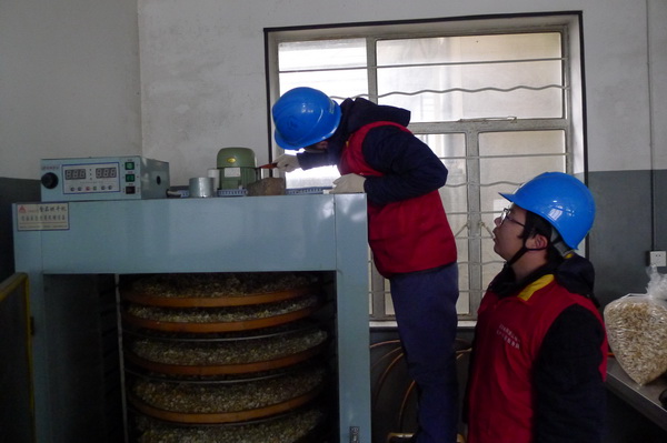 國(guó)網(wǎng)寧海縣供電公司：電力紅馬甲服務(wù)鄉(xiāng)村企業(yè) ，讓黃精變“黃金”