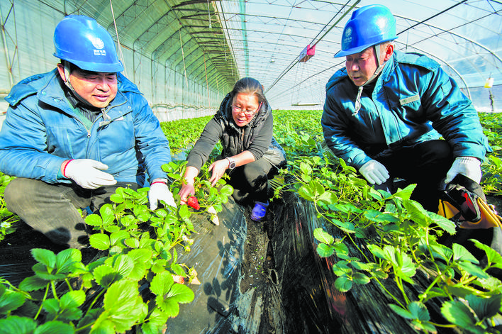 國(guó)網(wǎng)山東電力:鄉(xiāng)村電氣化 服務(wù)一體化