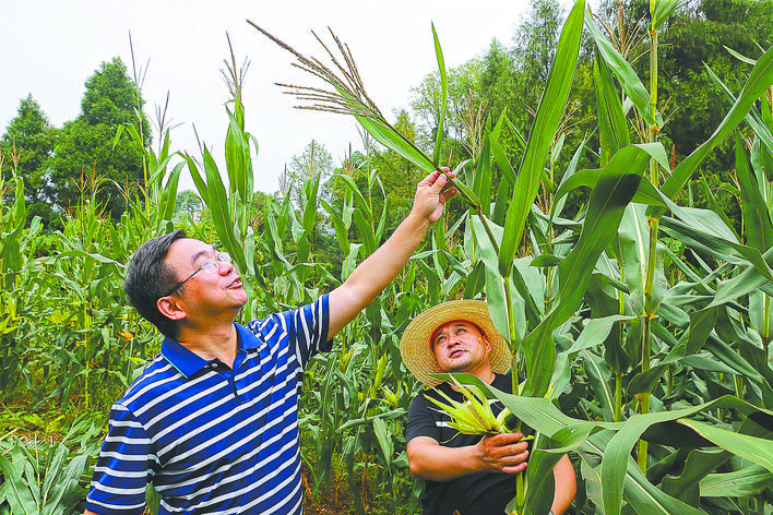 【全國(guó)脫貧攻堅(jiān)先進(jìn)個(gè)人】黃丹松:一片丹心為扶貧