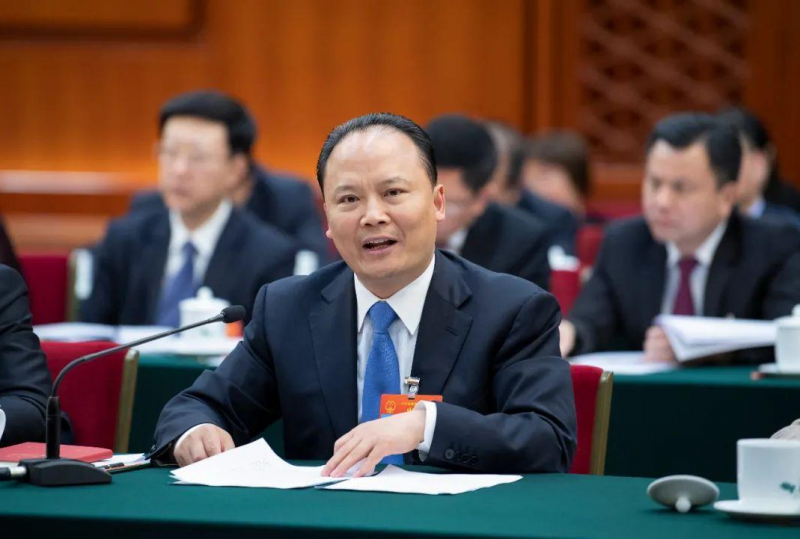 劉漢元代表:優(yōu)化儲(chǔ)能發(fā)展模式 保障可再生能源有效消納