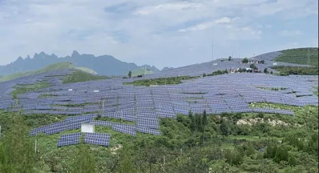 少長(zhǎng)一棵草，多發(fā)一度電，助力碳中和