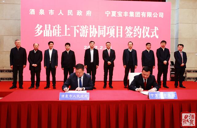 寶豐集團擬在寧夏建設35萬噸工業(yè)硅、30萬噸多晶硅、50GW拉晶切片、30GW電池組件