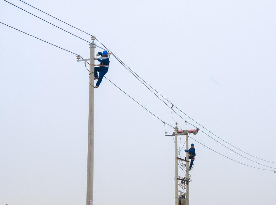 阿拉善供電公司：電網(wǎng)健康“體檢”，從登桿開始