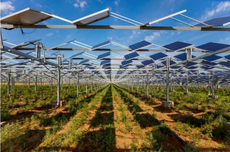 光伏治沙+風(fēng)光大基地，寧夏“走出”生態(tài)保護和高質(zhì)量發(fā)展新道路