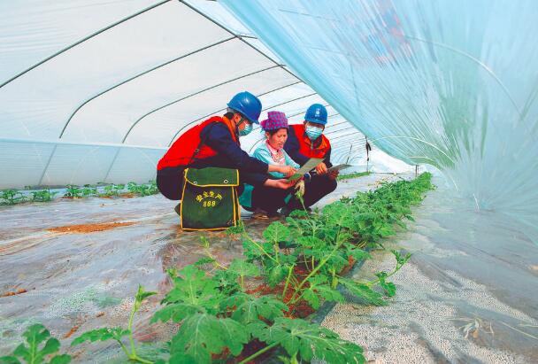 上門服務(wù)，瓜甜心更甜