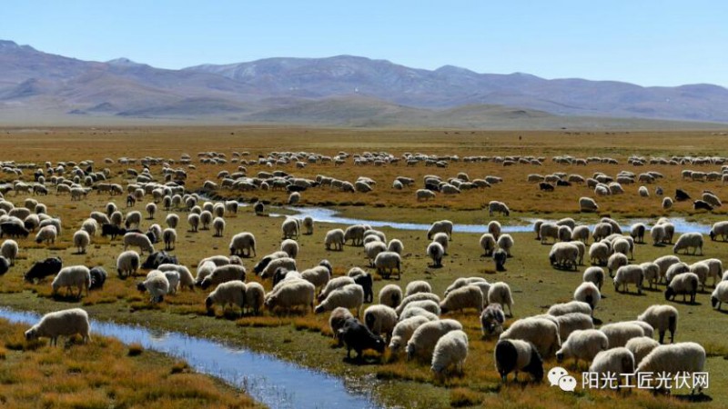 面積接近一個(gè)新加坡！青海塔拉灘光伏電站照亮“陽光之路”