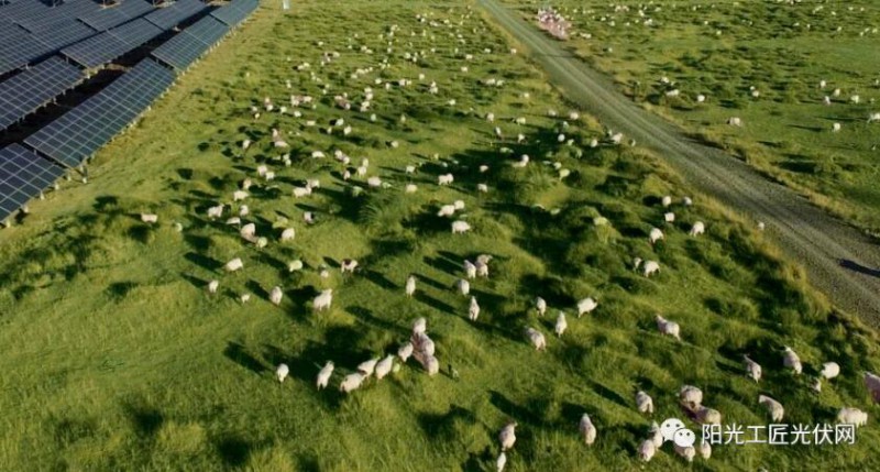 面積接近一個(gè)新加坡！青海塔拉灘光伏電站照亮“陽光之路”