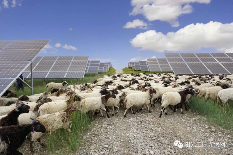 面積接近一個(gè)新加坡！青海塔拉灘光伏電站照亮“陽光之路”