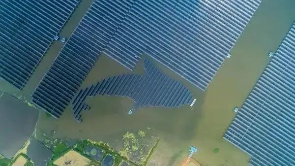 泗洪1000MW光伏領(lǐng)跑者項(xiàng)目被勒令拆除整改！