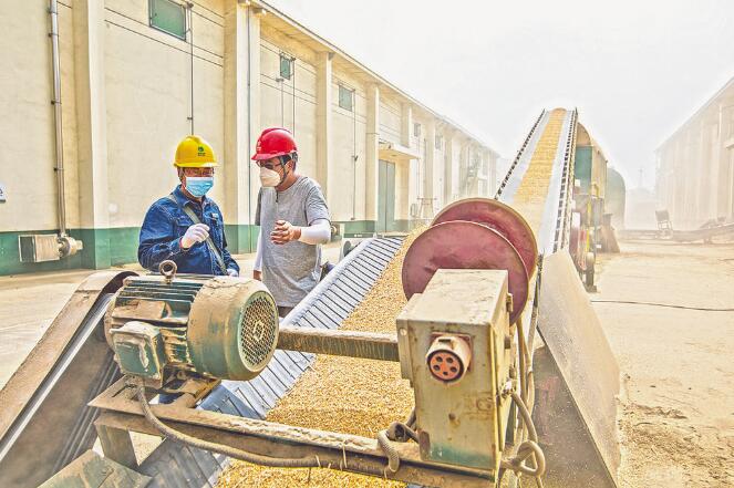 河南新鄉(xiāng):夏糧滿倉(cāng)保電忙