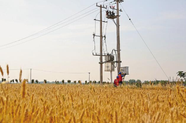 安徽阜陽(yáng)：“旱了能澆，澇了能排”