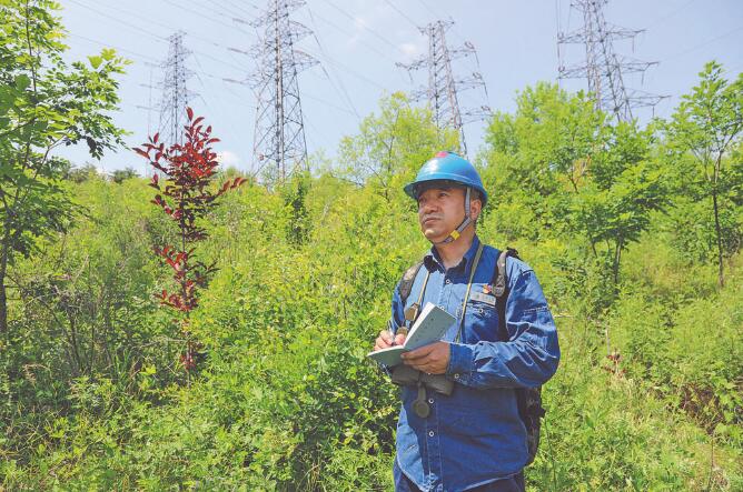 馬新全:穿行林海守護(hù)輸電線路安全