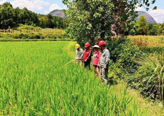 國(guó)網(wǎng)沅陵縣供電公司:抗旱保電 為農(nóng)田“解渴”