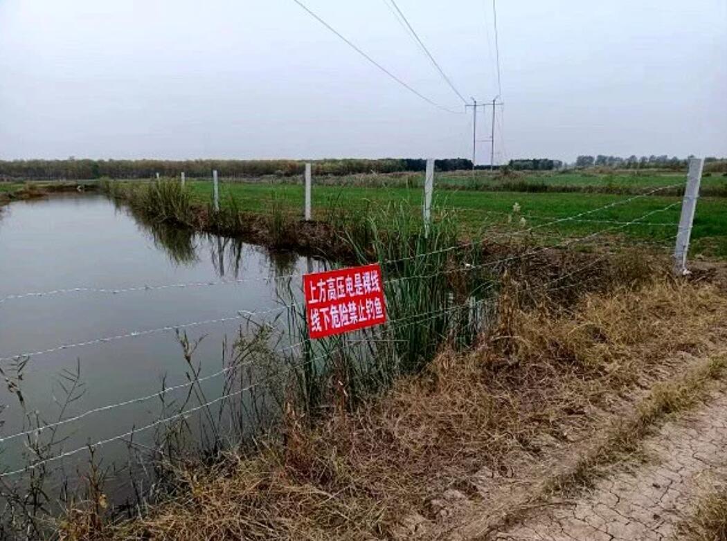 國(guó)網(wǎng)濟(jì)寧供電公司治理垂釣隱患，保電網(wǎng)安全運(yùn)行