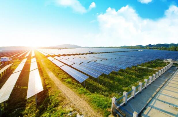 萬華化學投建140MWp農光互補型光伏發電項目,再添新能源發展活力