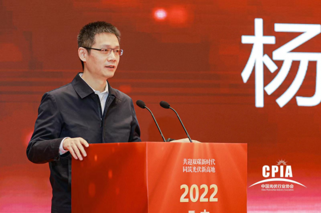 工信部楊旭東：推動(dòng)光伏與新型儲能電池協(xié)同發(fā)展應(yīng)用