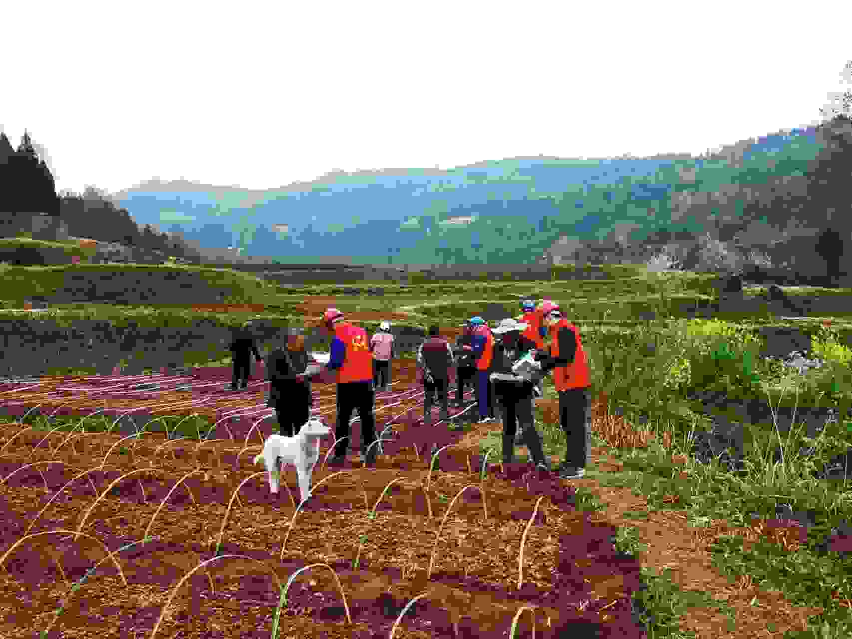 國(guó)網(wǎng)巴中供電公司:服務(wù)送上門(mén) 春灌電力足