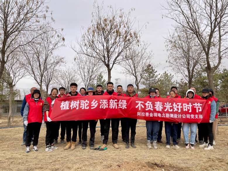 阿拉善金圳電力設計公司:植樹駝鄉(xiāng)添新綠 不負春光好時節(jié)