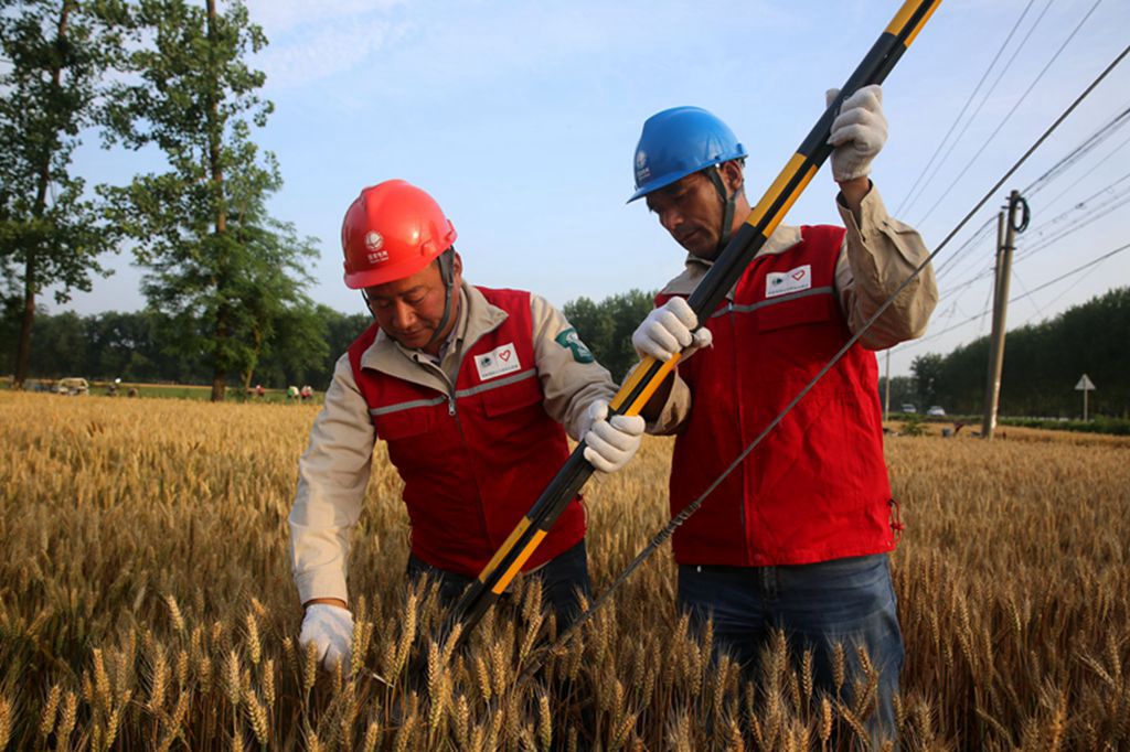 國(guó)網(wǎng)江蘇電力睢寧供電公司為電桿拉線(xiàn)穿上“防撞衣 ”