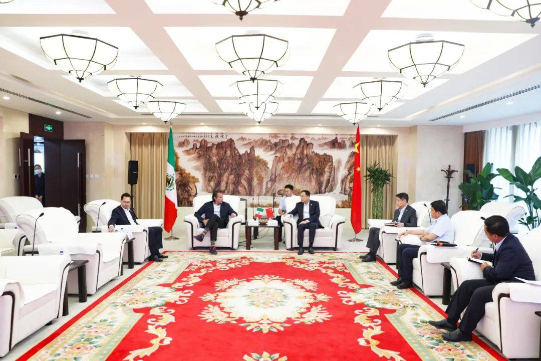 中國能建國際董事長(zhǎng)會(huì)見墨西哥ASELEC公司總裁