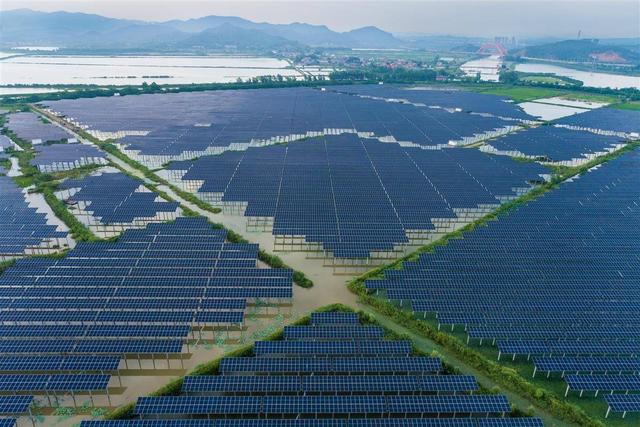 水上發(fā)電，水下養(yǎng)魚(yú)!黃石“漁光互補(bǔ)”綠色興農(nóng)