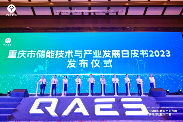 重慶儲(chǔ)能行業(yè)首部白皮書正式發(fā)布 新型儲(chǔ)能市場(chǎng)步入極速增長期