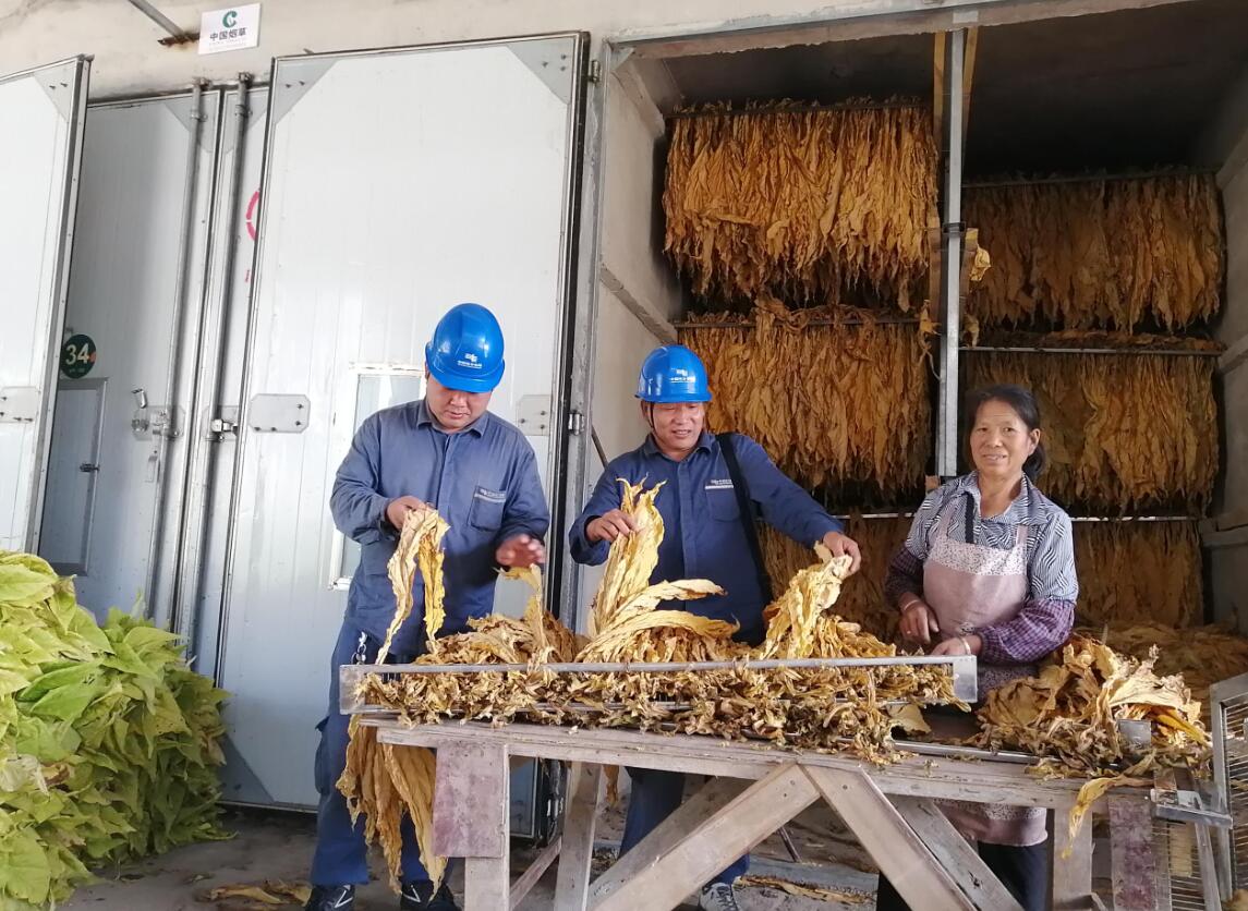 貴州德江供電局:走村串寨常監(jiān)督 煙農(nóng)烤出“黃金葉”