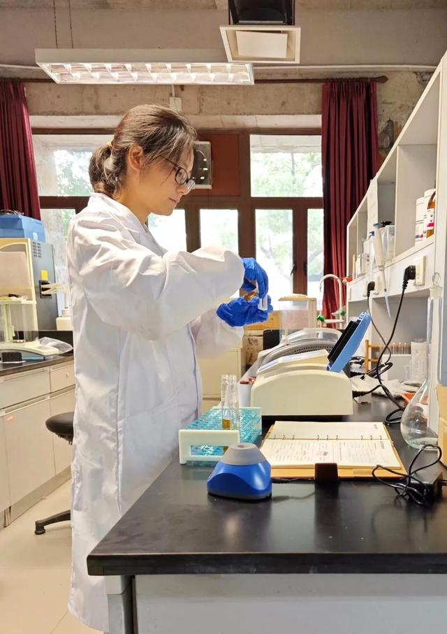 寶山這位博士后探索“氫轉(zhuǎn)甲烷”科創(chuàng)路徑，推動(dòng)清潔能源制氫