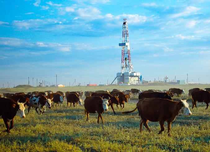 【共建“一帶一路”】中國石油:打造“綠色絲綢之路”的石油力量