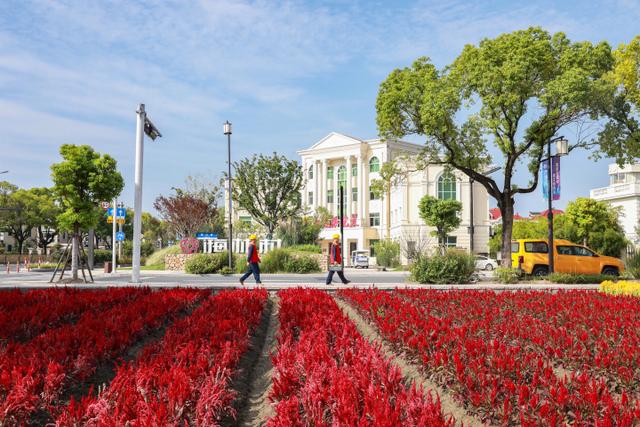 “電靚”和美鄉(xiāng)村，過去20年，杭州電力做了什么