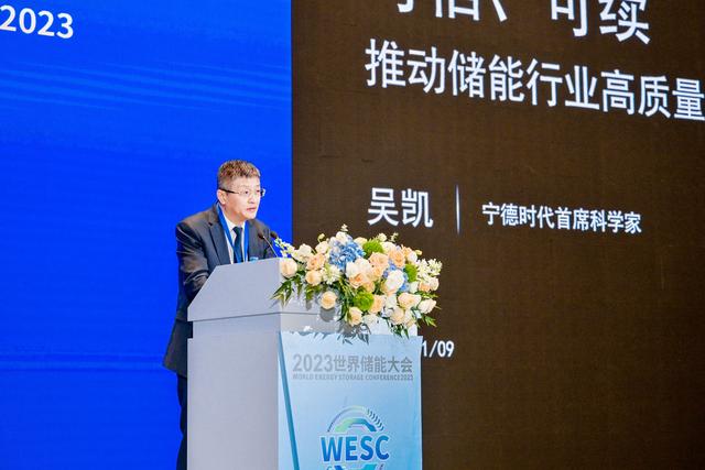寧德時(shí)代首席科學(xué)家吳凱:警惕儲(chǔ)能一哄而上的風(fēng)險(xiǎn)|最前線(xiàn)