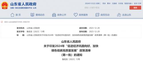 山東: 海上光伏2025年底前并網(wǎng),免于配儲、有初投資補貼!