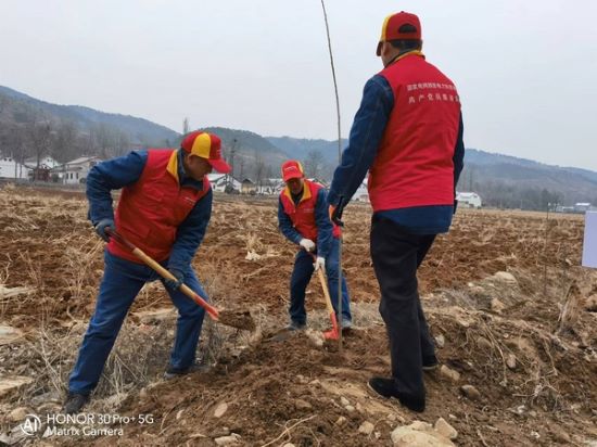 國網洛南縣公司“紅馬甲”義務植樹 為康養(yǎng)洛南添新綠