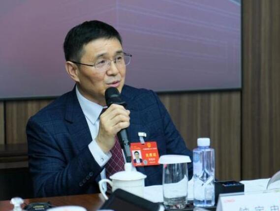 【兩會好聲音】全國人大代表鐘寶申: 建議加強農村光伏市場質量監(jiān)察 避免大建大拆