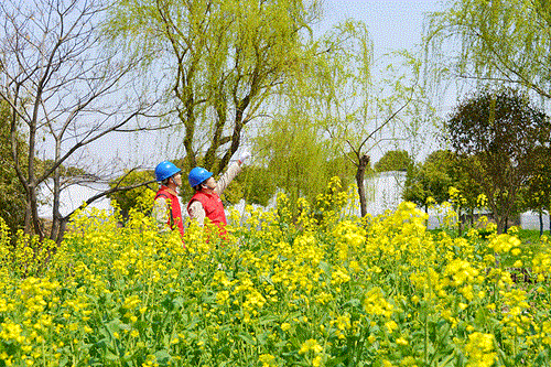 國網(wǎng)太倉市供電公司：電力賦能農(nóng)文旅，五一出游“零碳”行