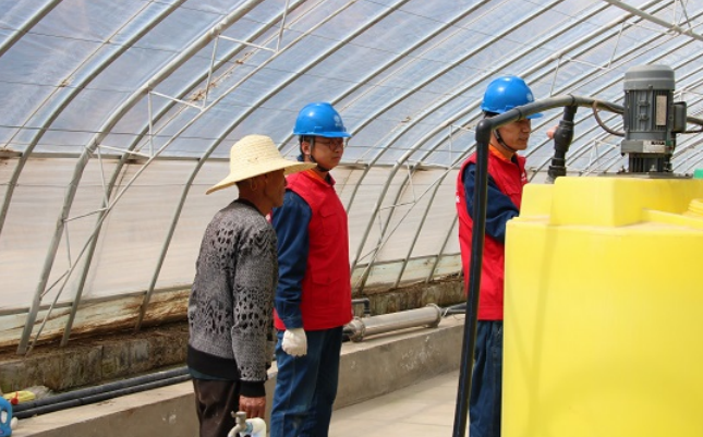 國(guó)網(wǎng)慶陽供電公司“滿格電”護(hù)航“普羅旺斯”搶“鮮”上市