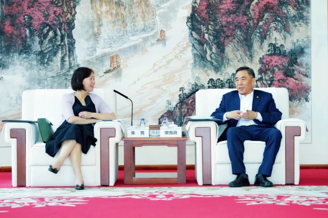 中國能建黨委書記、董事長宋海良與絲路基金董事長朱雋會談
