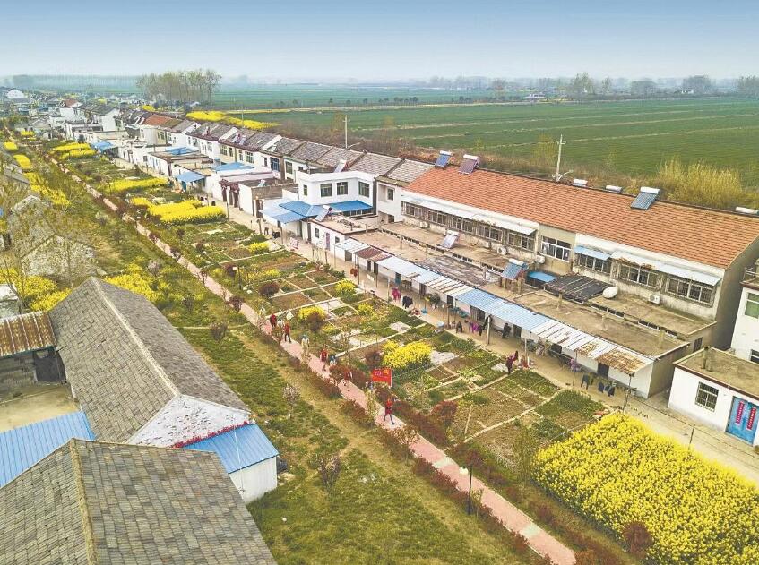 江蘇淮安大鸞共產黨員服務隊:提質鄉(xiāng)村服務 心系萬家光明