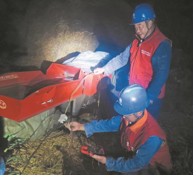 甘肅岷縣:深夜搶修 幫養(yǎng)雞場(chǎng)恢復(fù)用電