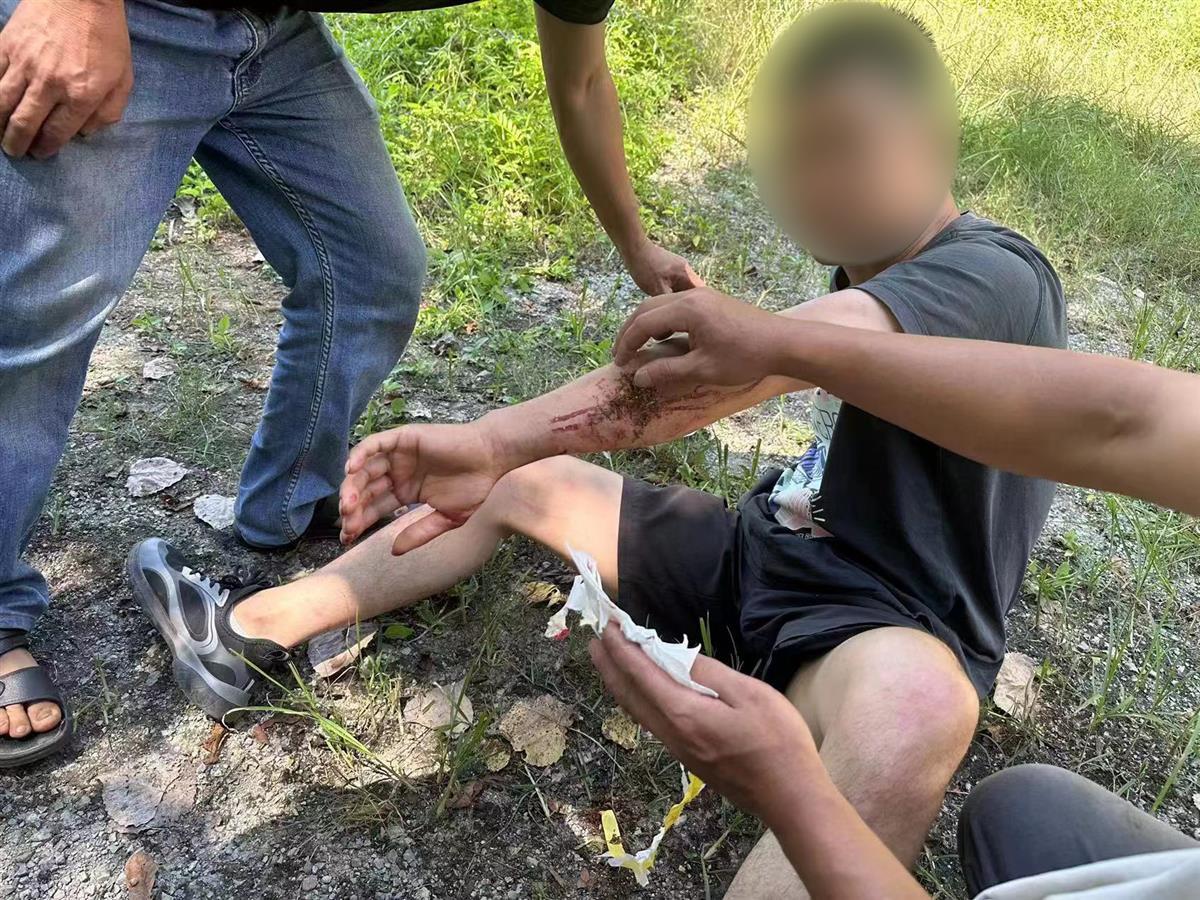 男子私設(shè)電網(wǎng)30余米，沒捕獲獵物卻電傷路人被刑拘