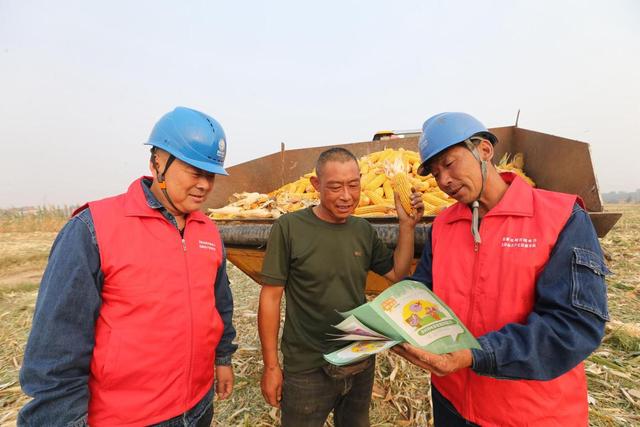 國網(wǎng)焦作供電公司:電力助秋收 描繪豐收景