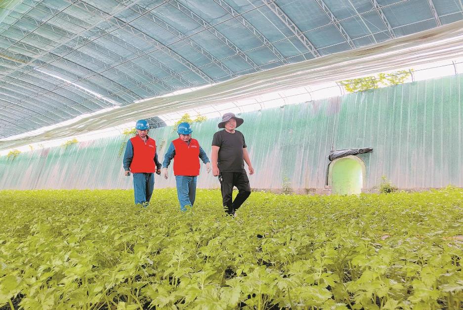 寧夏賀蘭縣：賀蘭山下，稻香魚肥