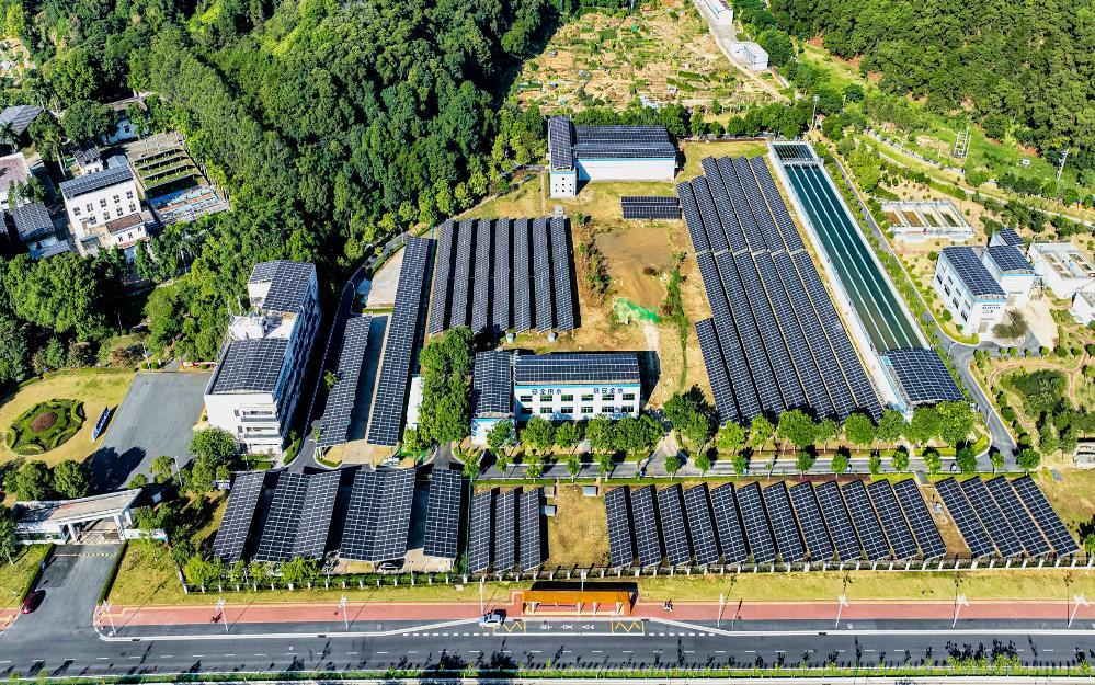 追“新”逐“綠” 粵?？毓杉瘓F(tuán)走實走好綠色低碳轉(zhuǎn)型高質(zhì)量發(fā)展道路