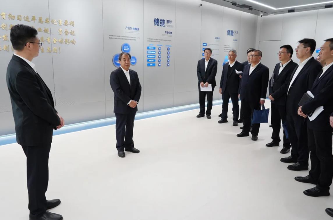 南方電網公司董事長、黨組書孟振平調研國家新型儲能創(chuàng)新中心